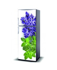 Magnetinis lipdukas ant šaldytuvo