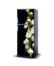 Magnetinis lipdukas ant šaldytuvo