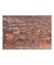 Fototapetas  Vintage Wall (Red Brick)