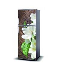 Magnetinis lipdukas ant šaldytuvo