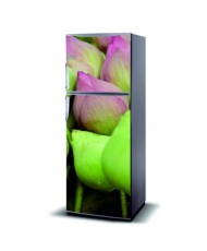 Magnetinis lipdukas ant šaldytuvo