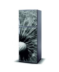 Magnetinis lipdukas ant šaldytuvo