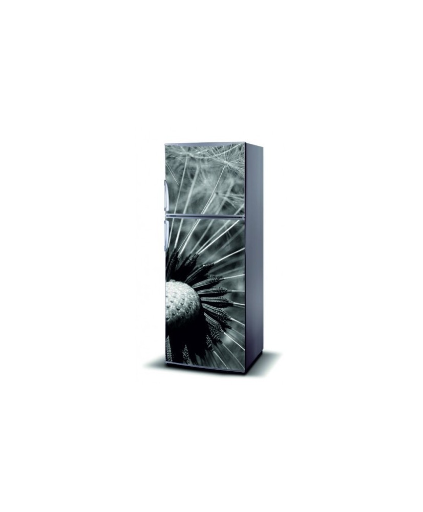 Magnetinis lipdukas ant šaldytuvo