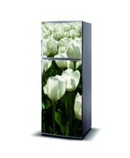 Magnetinis lipdukas ant šaldytuvo