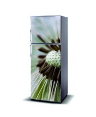 Magnetinis lipdukas ant šaldytuvo