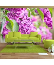 Fototapetas  Lilac flowers