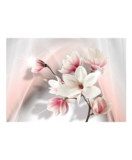 Fototapetas  White magnolias