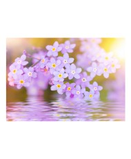 Fototapetas   Violet Petals In Bloom