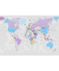 Fototapetai - Pasaulio žemėlapis. Pilkas