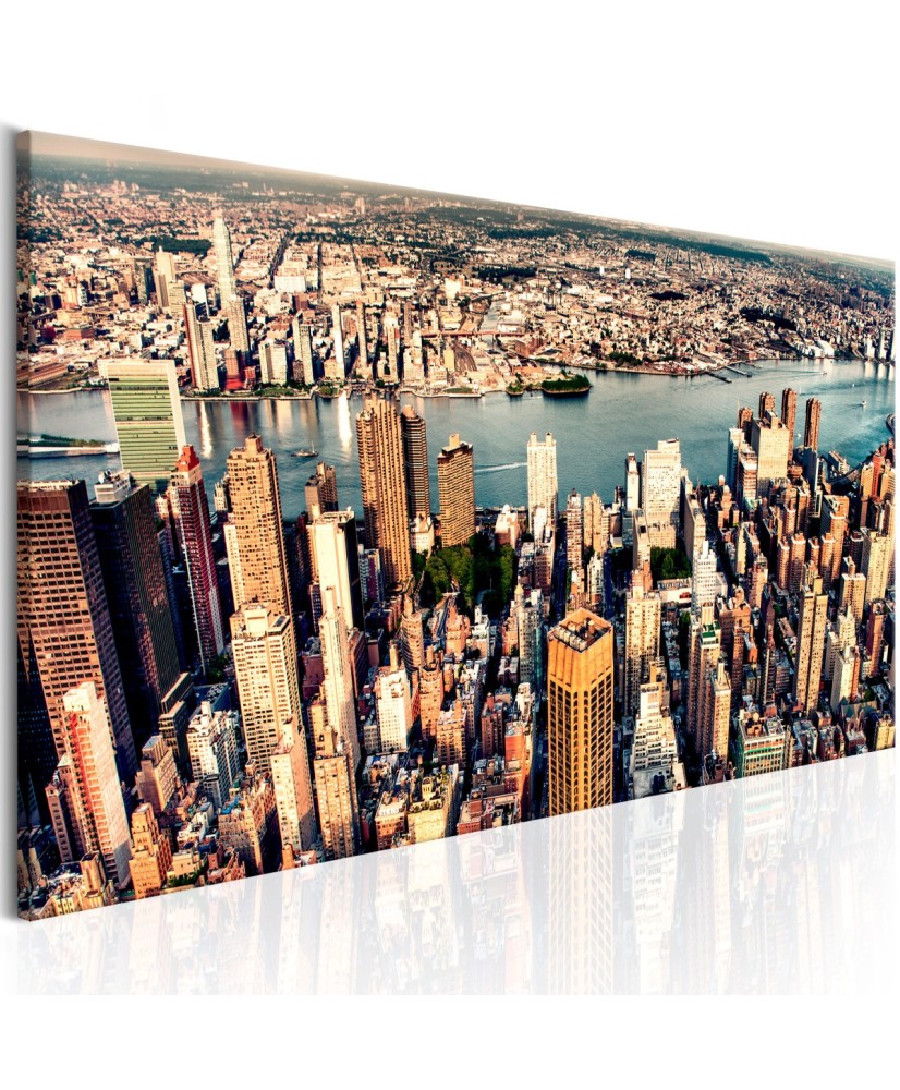 Paveikslas  Panorama of New York
