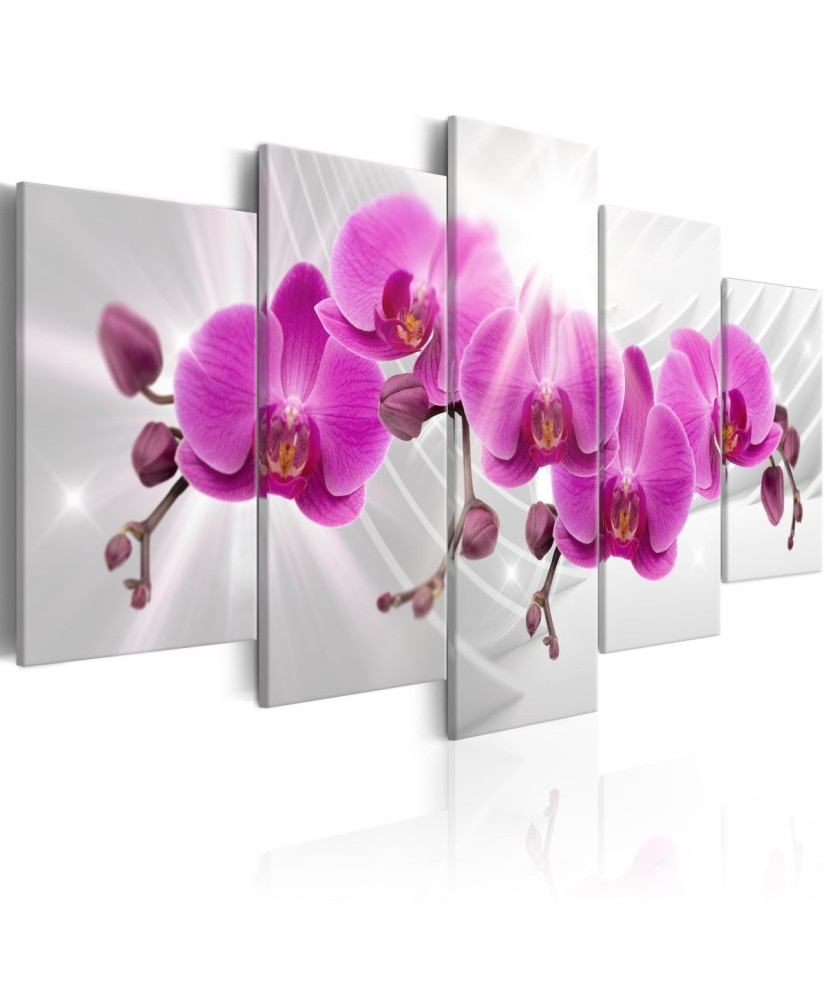 Paveikslas  Abstract Garden Pink Orchids