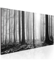 Paveikslas  Black and White Forest