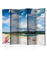 Pertvara  Beach on the Costa da Morte II [Room Dividers]