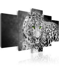 Paveikslas  Leopard  black&white