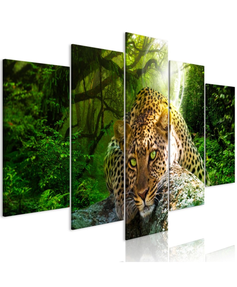 Paveikslas  Leopard Lying (5 Parts) Wide Green