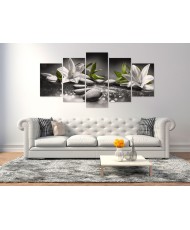 Paveikslas  Lilies and Stones (5 Parts) Wide Grey