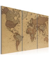 Paveikslas  Stylish World Map