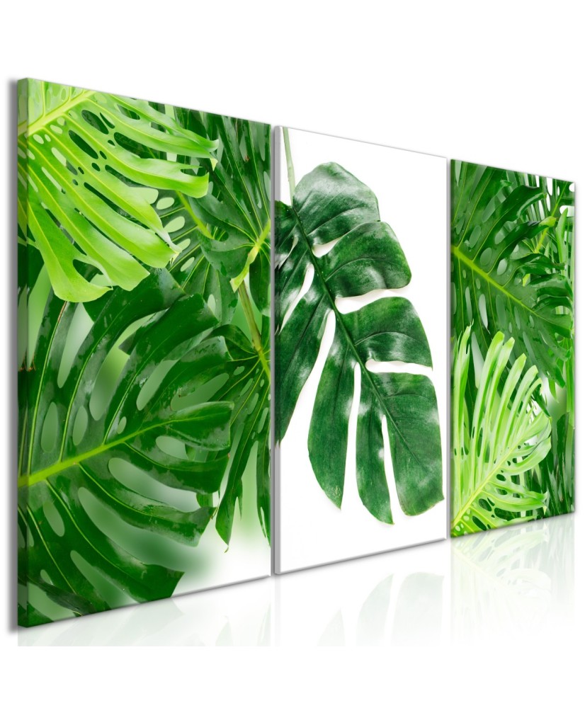 Paveikslas  Palm Leaves (3 Parts)