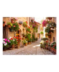 Fototapetas  The Alley in Spello (Italy)