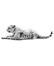 Interjero lipdukas Leopardas 170x50cm