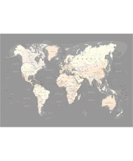 Fototapetai - Pasaulio žemėlapis. Pilkas 2