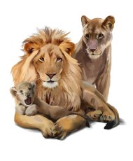 Interjero lipdukas Liūtų šeima 50x55cm