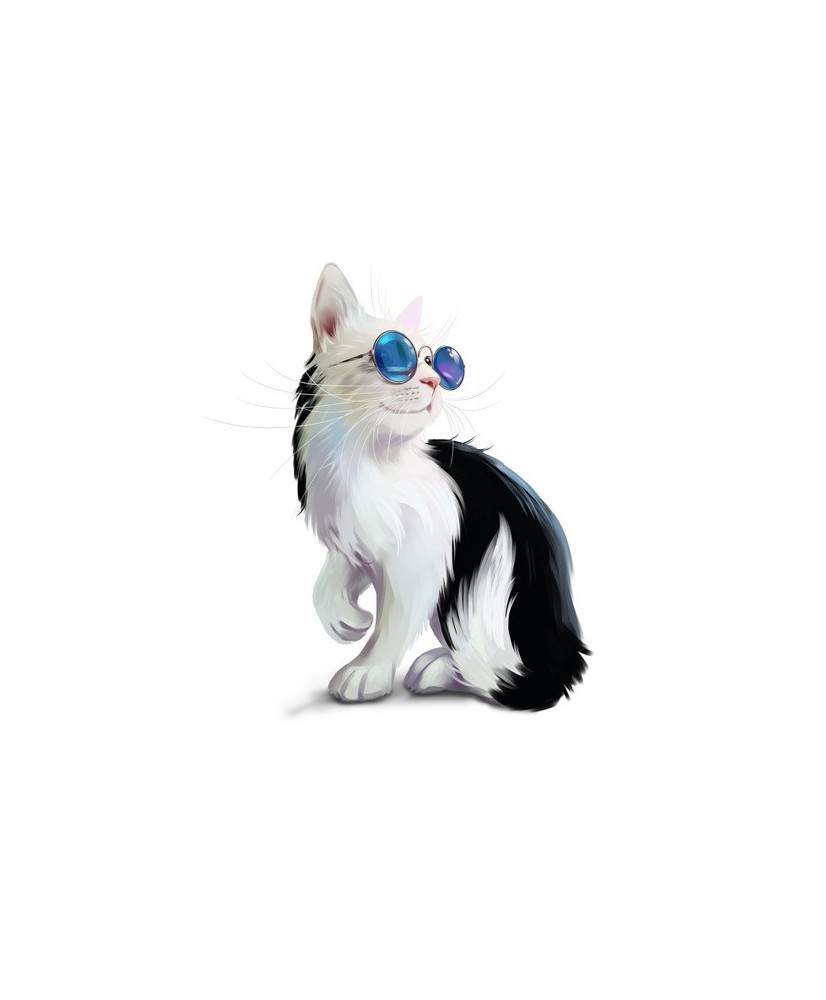 Interjero lipdukas Katinas su akiniais 50x57cm