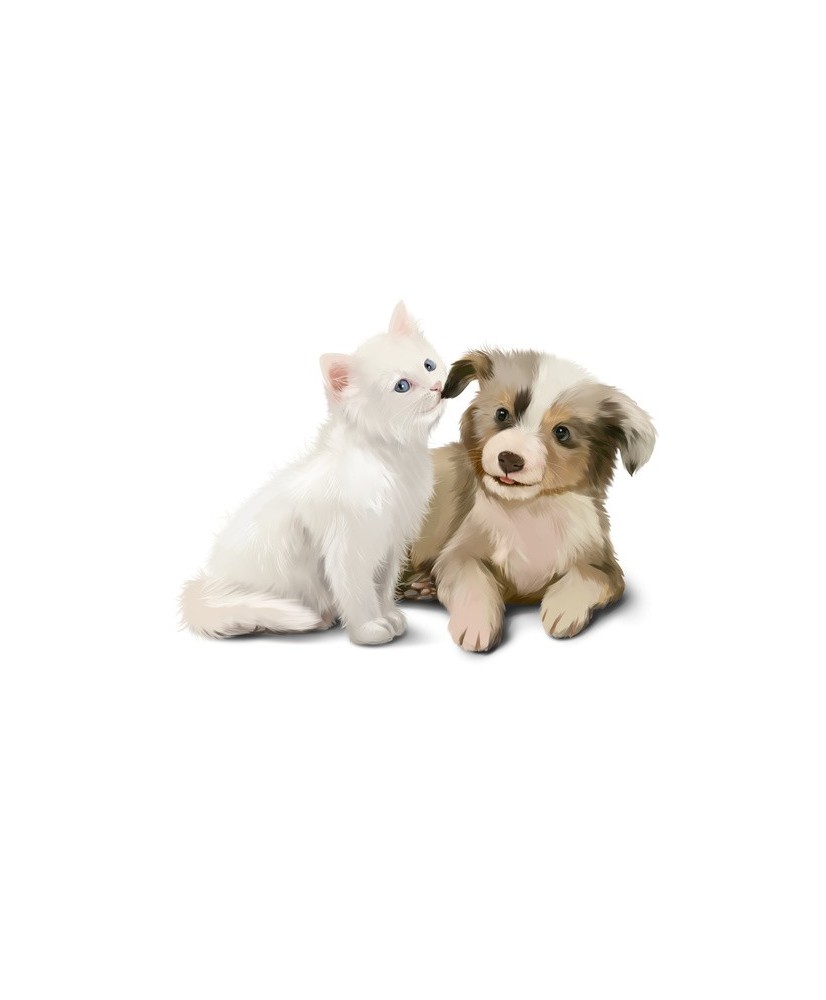 Interjero lipdukas Kačiukas ir šuniukas 70x50cm