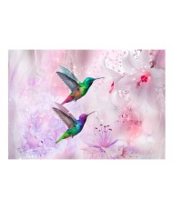 Fototapetas  Colourful Hummingbirds (Purple)