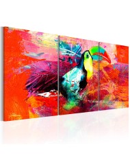 Paveikslas  Colourful Toucan