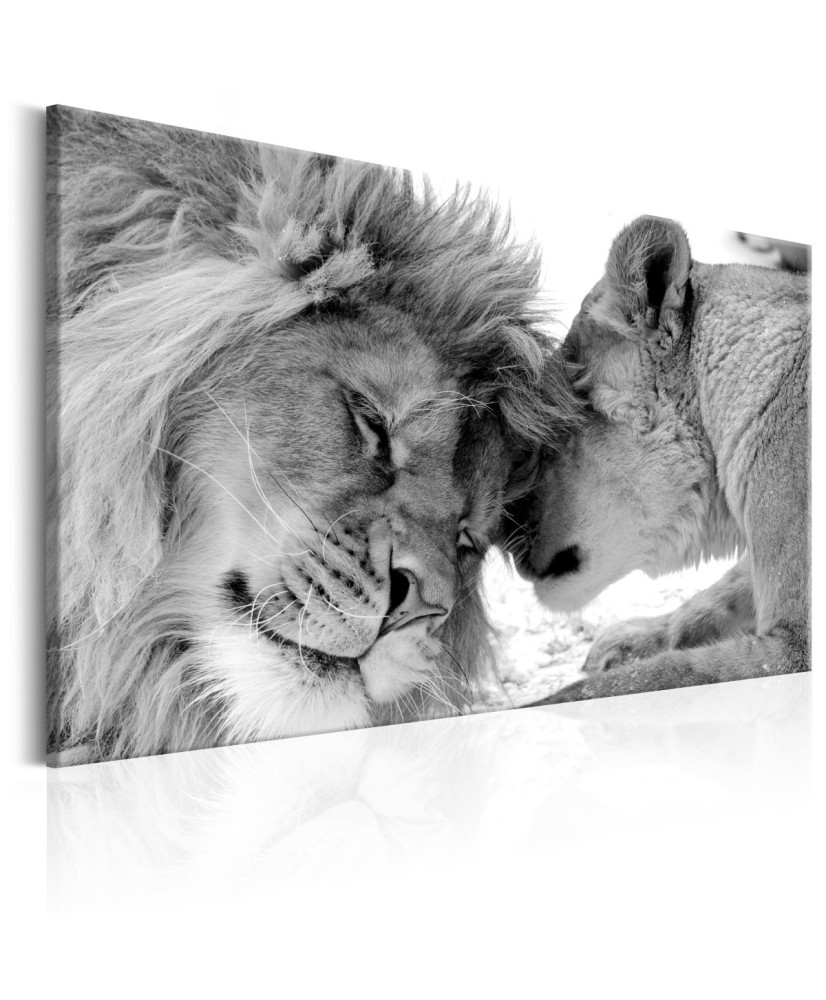 Paveikslas  Lions Love