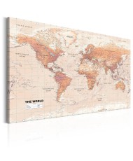 Paveikslas  World Map Orange World