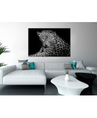 Paveikslas  Leopard Portrait (1 Part) Wide