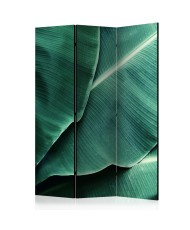 Pertvara  Banana Leaf [Room Dividers]