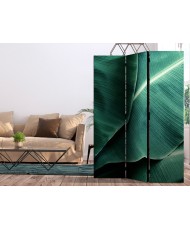 Pertvara  Banana Leaf [Room Dividers]