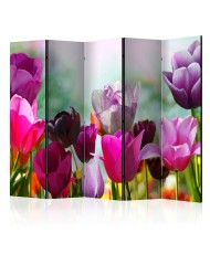 Pertvara  Beautiful Tulips II [Room Dividers]