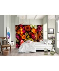 Pertvara  Bouquet of Roses II [Room Dividers]