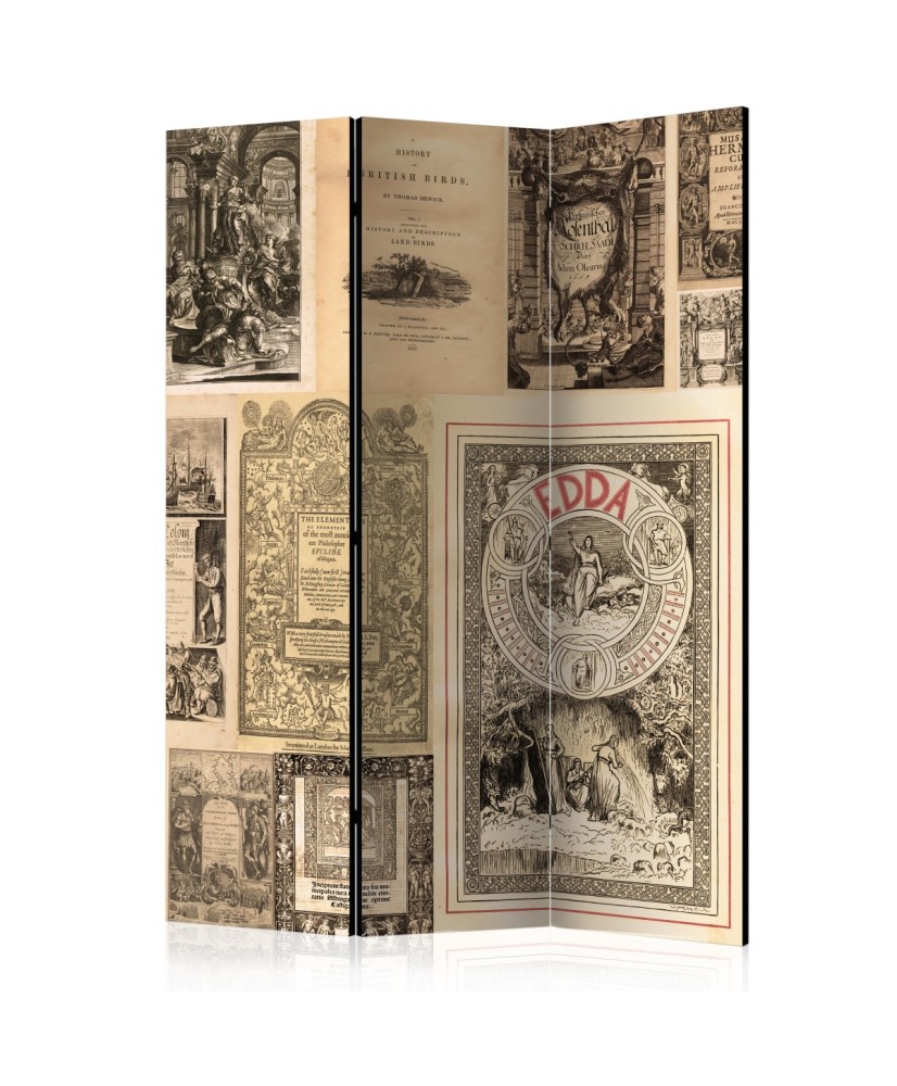 Pertvara  Vintage Books [Room Dividers]