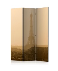 Pertvara  Paris at Dawn [Room Dividers]