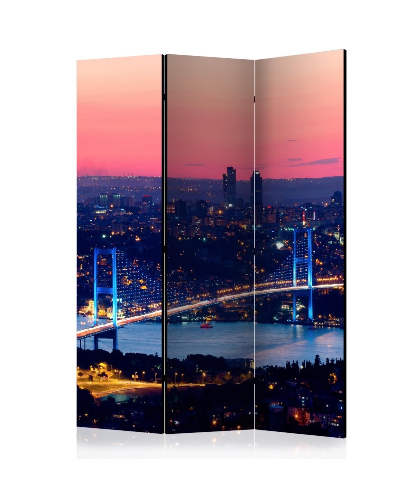 Pertvara  Bosphorus Bridge [Room Dividers]