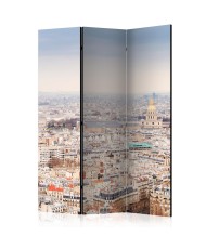Pertvara  Paris Streets [Room Dividers]