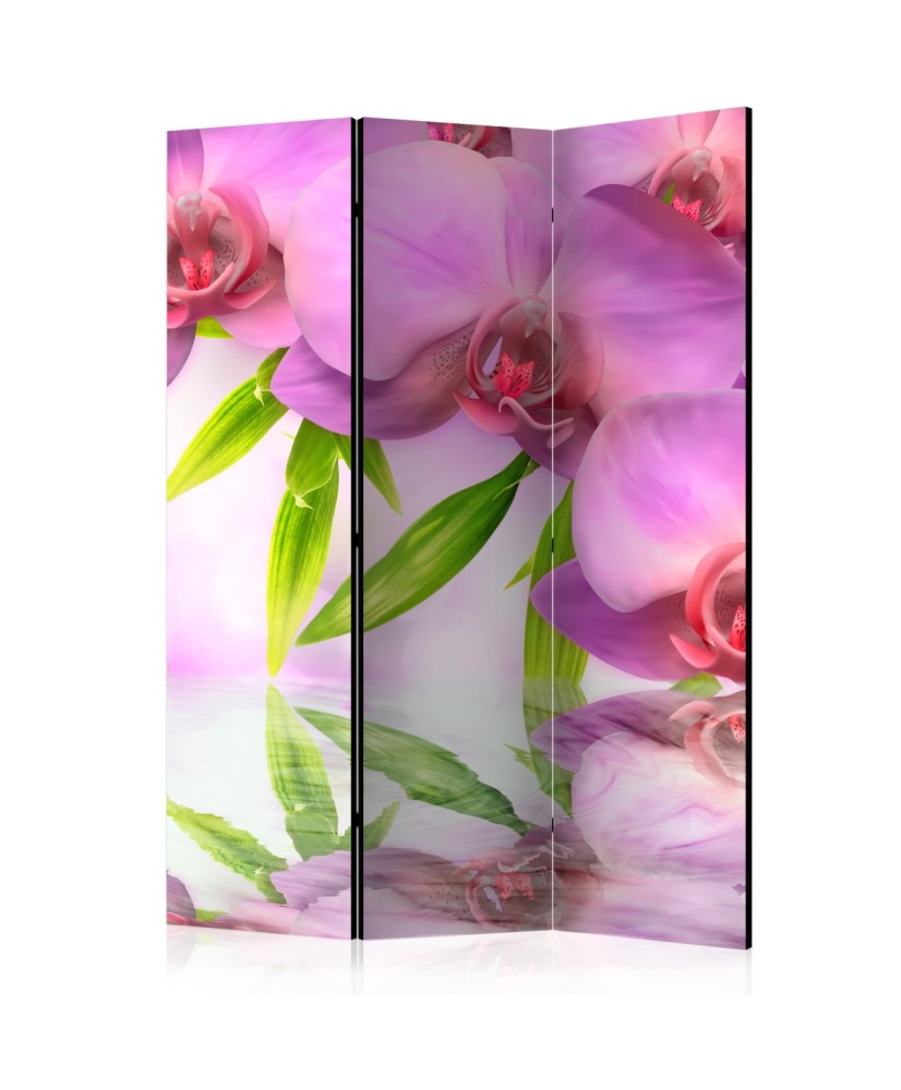 Pertvara  Orchid Spa [Room Dividers]