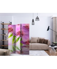 Pertvara  Orchid Spa [Room Dividers]