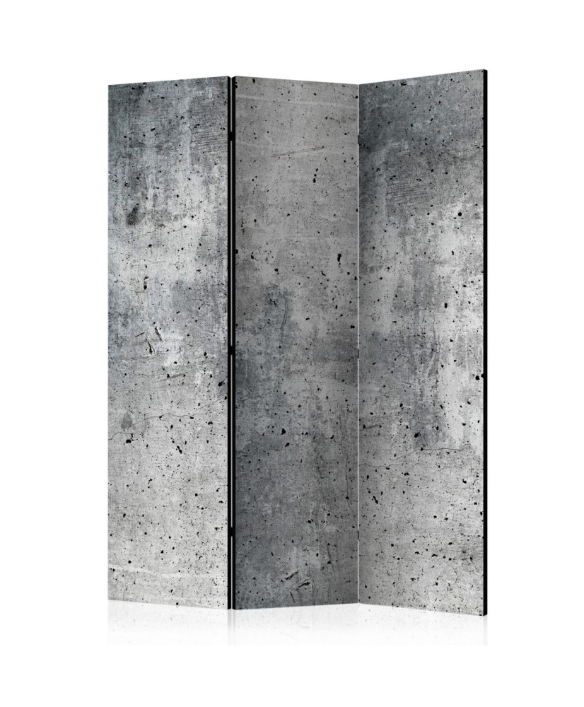 Pertvara  Fresh Concrete [Room Dividers]