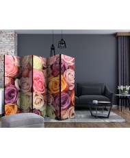 Pertvara  Pastel roses [Room Dividers]