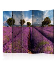 Pertvara  Lavender field in Provence, France [Room Dividers]