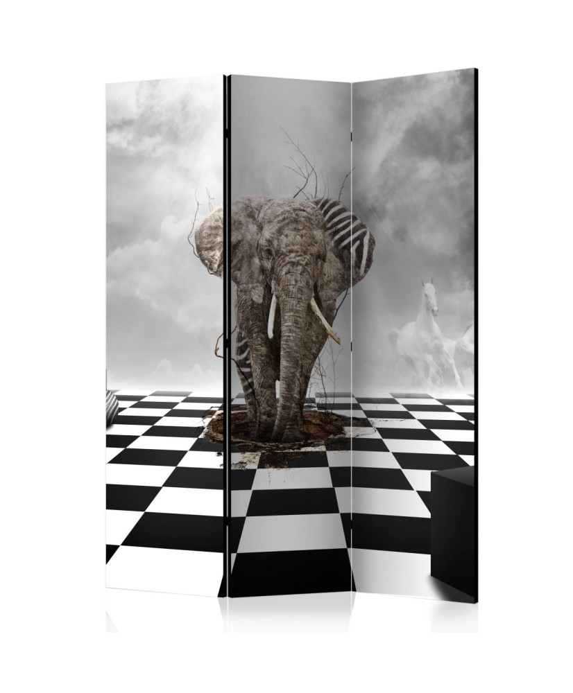 Pertvara  Escape from Africa [Room Dividers]