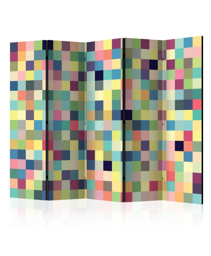 Pertvara  Millions of colors [Room Dividers]