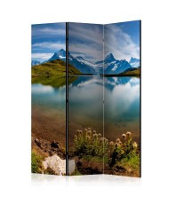 Pertvara  Lake with mountain reflection, Switzerland [Room Dividers]