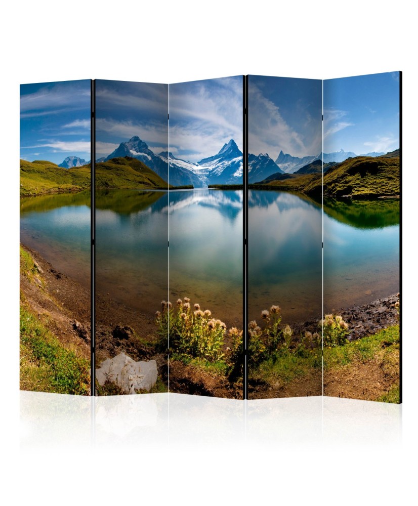 Pertvara  Lake with mountain reflection, Switzerland [Room Dividers]